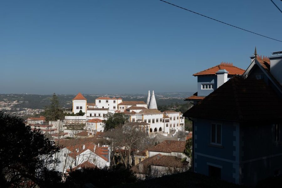 Pena Palace, Moorish Castle,Quinta ad Regaleira:Walking tour - Who should book this active day