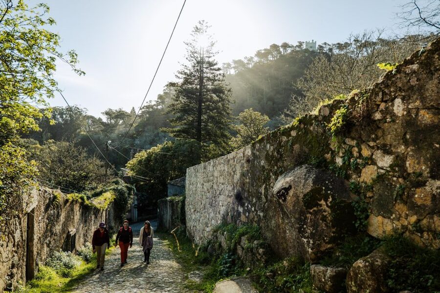 Pena Palace, Moorish Castle,Quinta ad Regaleira:Walking tour - Hiking from the village to the Moorish Castle