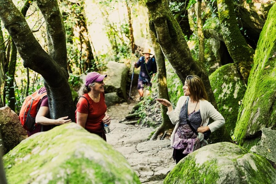 Pena Palace, Moorish Castle,Quinta ad Regaleira:Walking tour - Exploring the symbols of Quinta da Regaleira