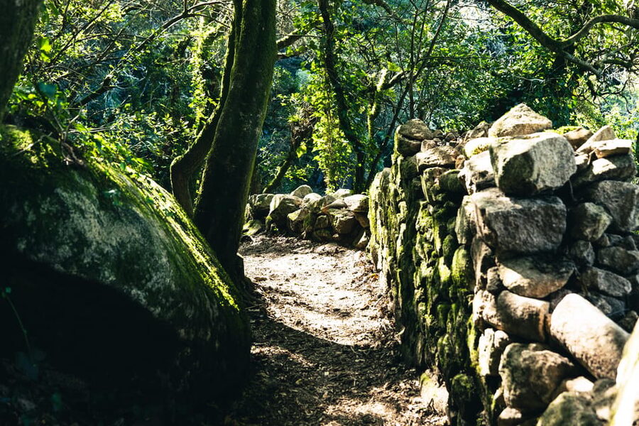 Pena Palace, Moorish Castle,Quinta ad Regaleira:Walking tour - What the $80 price really includes
