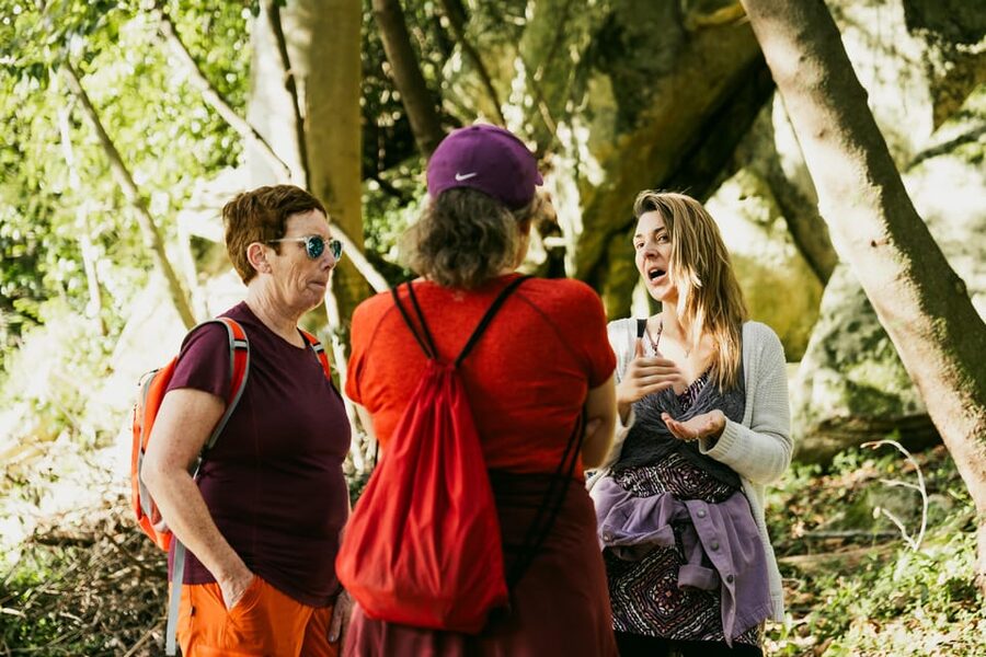 Pena Palace, Moorish Castle,Quinta ad Regaleira:Walking tour - Starting in Sintra’s historic center