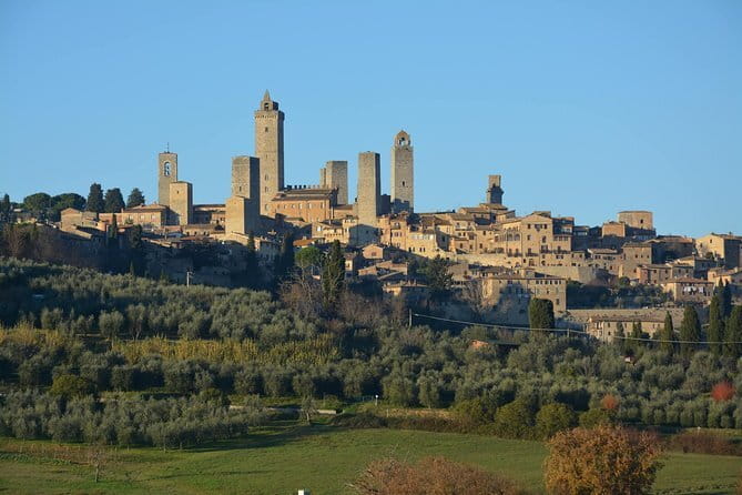 Pitti Palace and Boboli Gardens Private Tour - The guide makes the difference