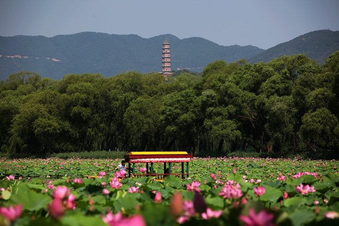 Private Day Tour: Summer Palace and Old Summer Palace in Beijing - Walking the Long Corridor