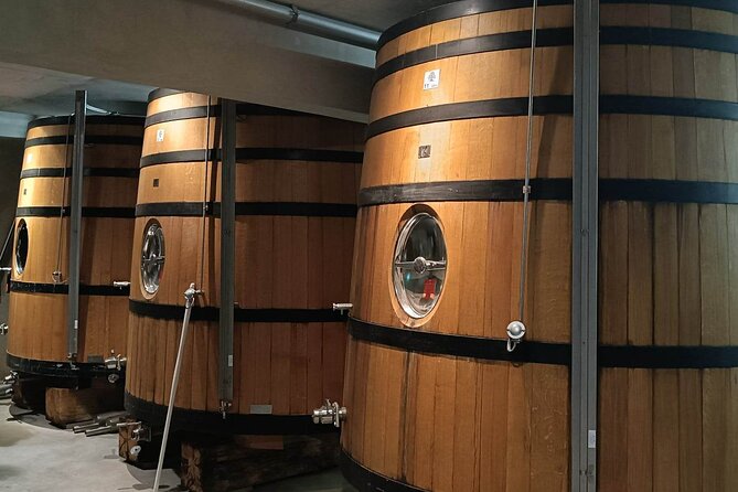 Private Full Day Tour Avignon & Wine Tasting Chateauneuf du Pape - Starting in Avignon with the Palais des Papes