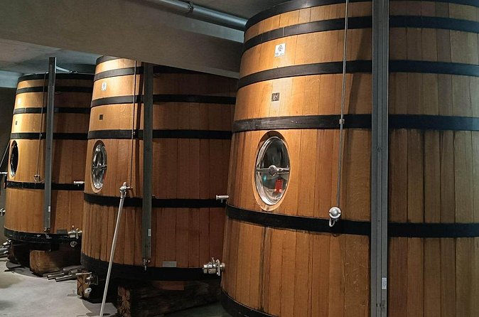 Private Full Day Tour Avignon & Wine Tasting Chateauneuf du Pape - Lunch in Châteauneuf-du-Pape