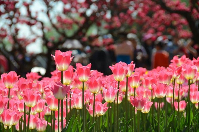 Private Garden Tour: The Summer Palace and Beijing Botanical Garden - The Long Corridor and its painted ceiling