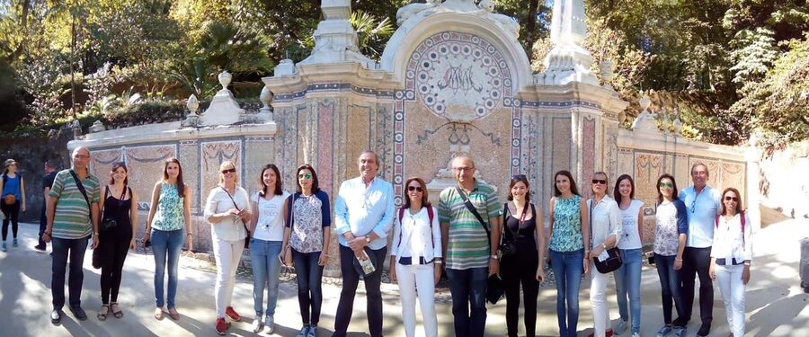Private Half Day tour Sintra Pena Palace & Initiantion Well - The scenic approach through Sintra