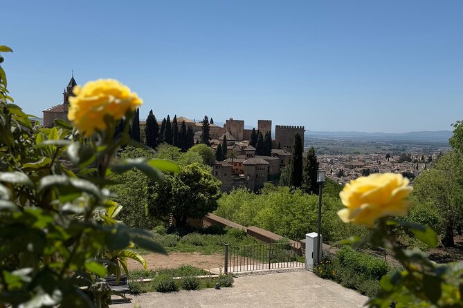 Private Night/Day Alhambra with Nasrid Palaces - Why the Nasrid Palaces deserve your best attention