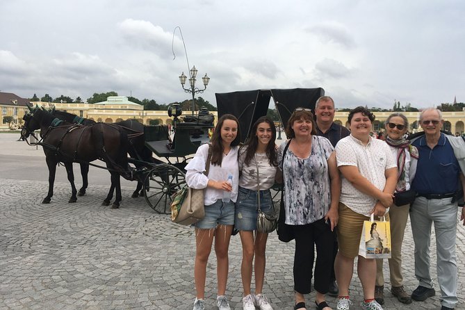 Private Schönbrunn Palace and Gardens Tour - The Gloriette and the military view