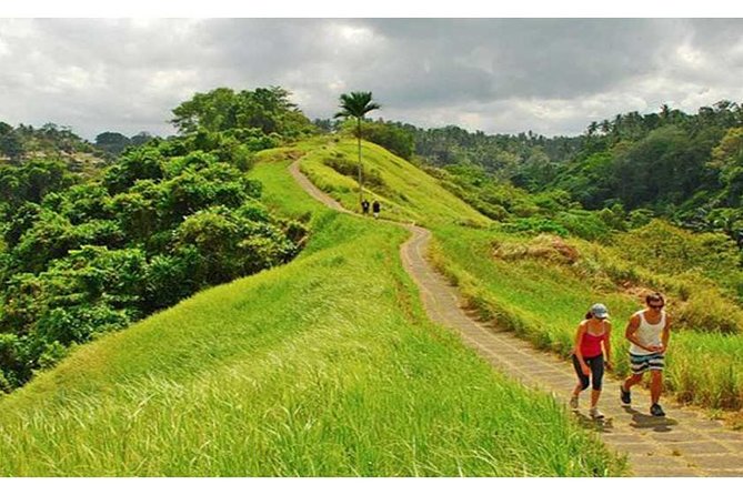 Private Tour: Campuhan Ridge Walk, Ubud Rice Terrace & Ubud Palace - Why This Ubud Day Trip Works