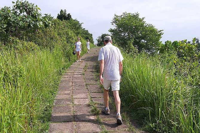 Private Tour: Campuhan Ridge Walk, Ubud Rice Terrace & Ubud Palace - Transport, Timing, and What the $25 Includes