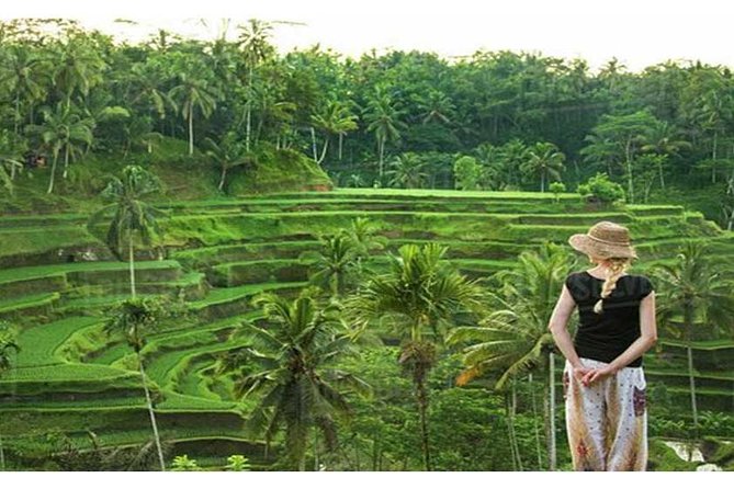 Private Tour: Campuhan Ridge Walk, Ubud Rice Terrace & Ubud Palace - Who Will Get the Most From This Tour
