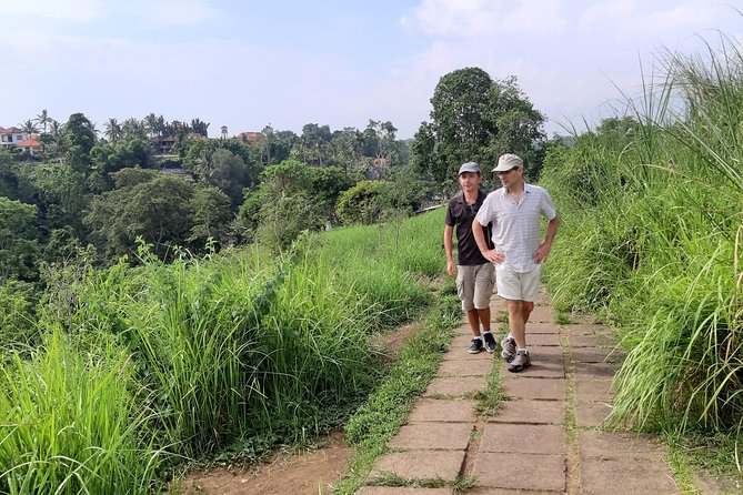 Private Tour: Campuhan Ridge Walk, Ubud Rice Terrace & Ubud Palace - Should You Book This Ubud Tour?