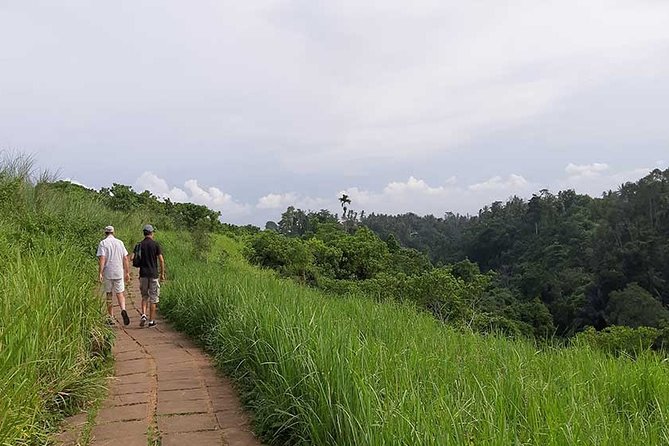 Private Tour: Campuhan Ridge Walk, Ubud Rice Terrace & Ubud Palace - Ceking Rice Terrace and Bali’s Farmed Hillsides