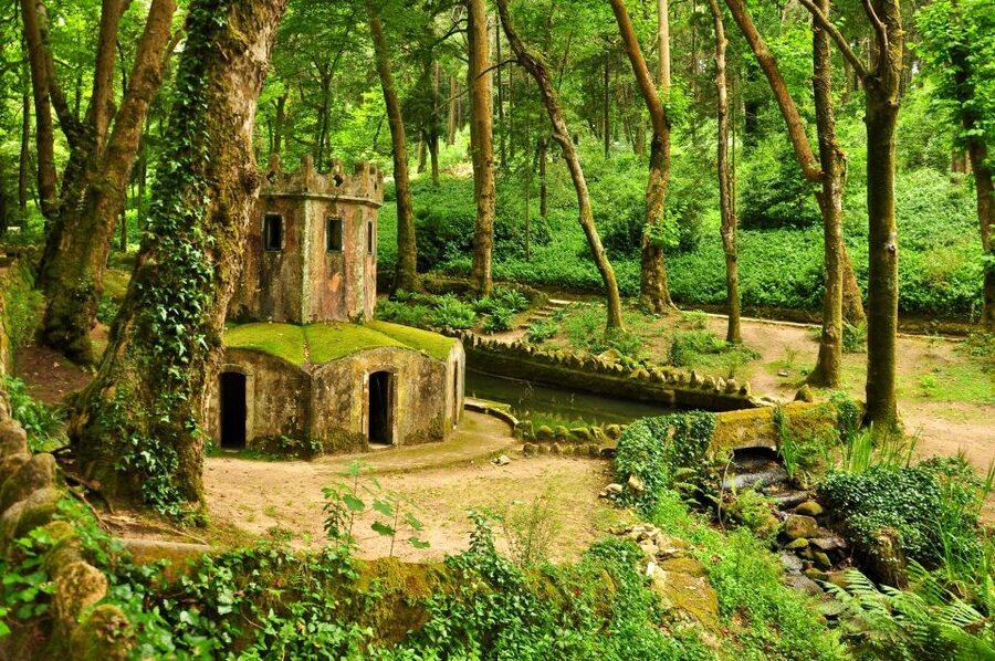 Private Tour - Sintra with Pena Palace and Cascais - Guides, languages, and the best way to use the day