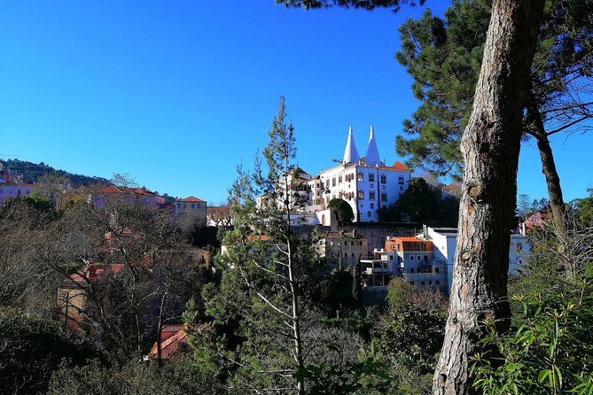 Private Tour to Sintra & Pena Palace, Cascais & Roca - The car, pickup, and small practical comforts