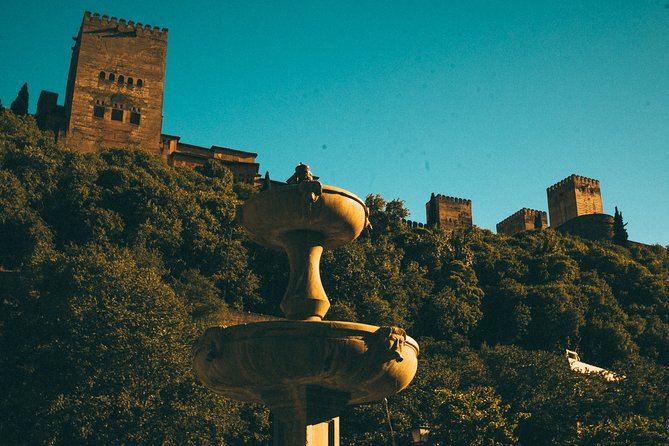 Private Tour to The Alhambra with Nasrid Palaces in Granada - Meeting at the Alhambra entrance