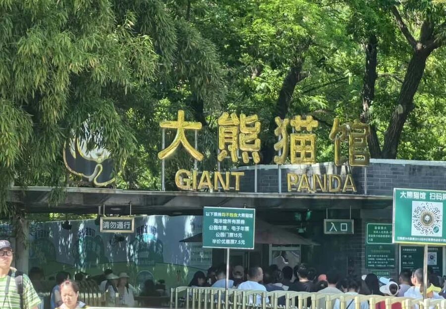 Private Trip to Great Wall+Summer Palace with English Driver - Who Gets the Best Value at $116?
