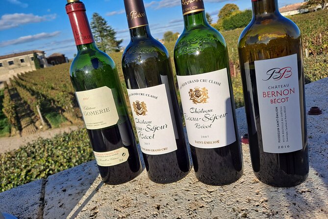 Private Wine Lovers - Super St Emilion - behind the scenes visits top chateaux and medieval town - St Emilion from the hilltop village