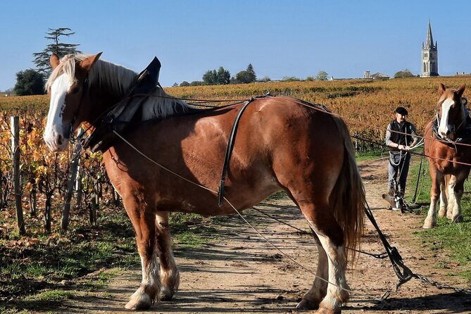 Private Wine Lovers - Super St Emilion - behind the scenes visits top chateaux and medieval town - Passing through Pomerol