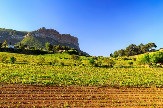 Provence Small Group Wine Full Day Tour in Chateauneuf du Pape vineyard from Aix - What the guides add to the day