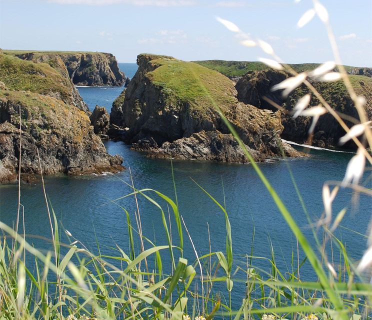 Quiberon: Ferry tickets from/to Belle-Île-en-Mer, Le Palais - Pets and bicycle rules