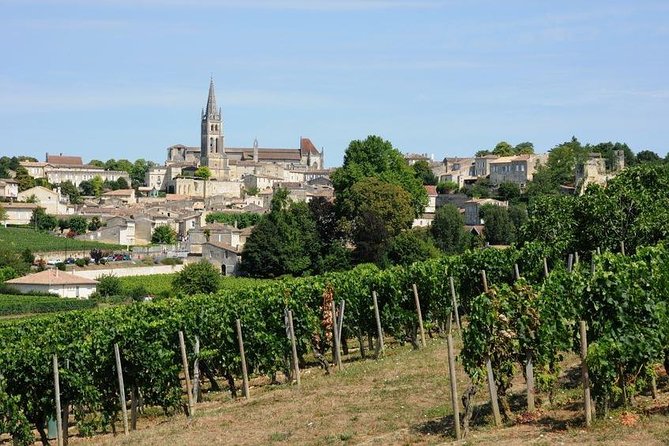 Saint-Émilion day tour: village visit, Châteaux and lunch - Château number two: comparing methods and producers