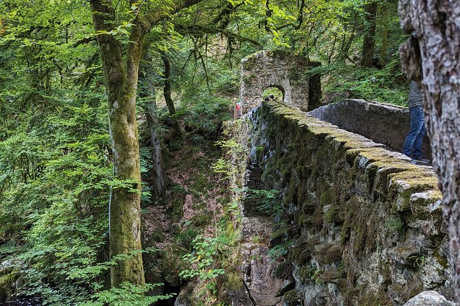 Scone Palace, Nature, Pitlochry, Whisky Experience from Glasgow - Why this private day trip works