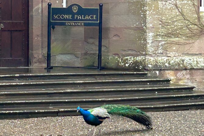 Scone Palace, Nature, Pitlochry, Whisky Experience from Glasgow - Scone Palace and the Stone of Destiny