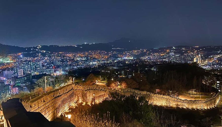 Seoul Day Tour: Gyeongbok Palace, Bukchon, Gwangjang Market - Naksan Park: fortress walls and city lights