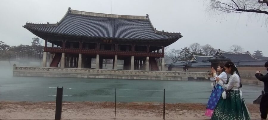 Seoul: DMZ, Gyeongbokgung Palace & City Tour - Lunch, transport, and what the $110 covers