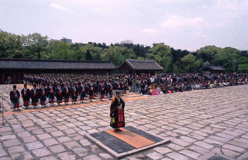 Seoul: Full-Day Royal Palaces Private Tour - Sungnyemun Gate and the final market stop