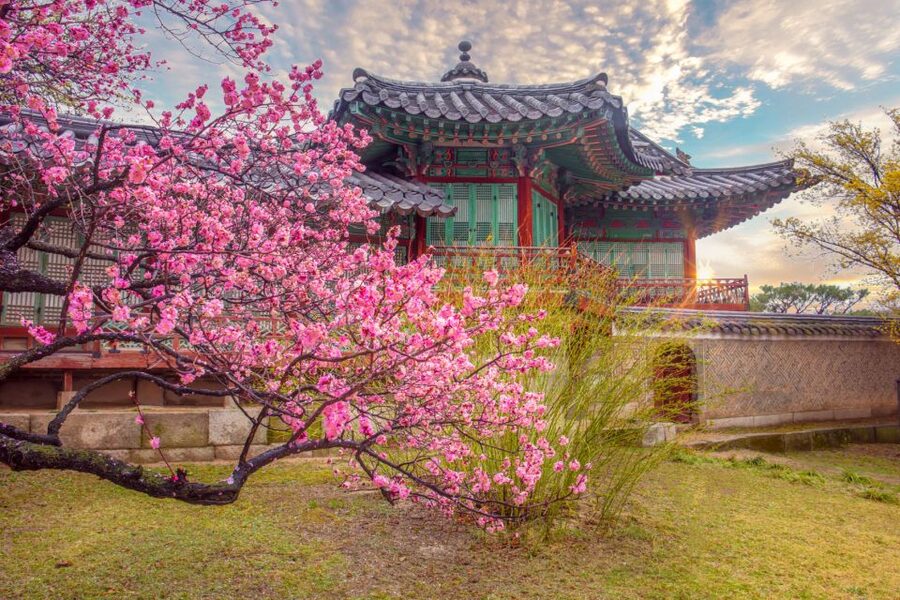 Seoul: Gyeongbok Palace and Bukchon Hanok Walking Tour - Gyeongbokgung Palace and the royal guard ceremony