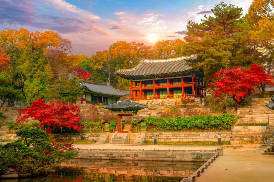 Seoul: Gyeongbok Palace and Bukchon Hanok Walking Tour - What the guide adds to the walk