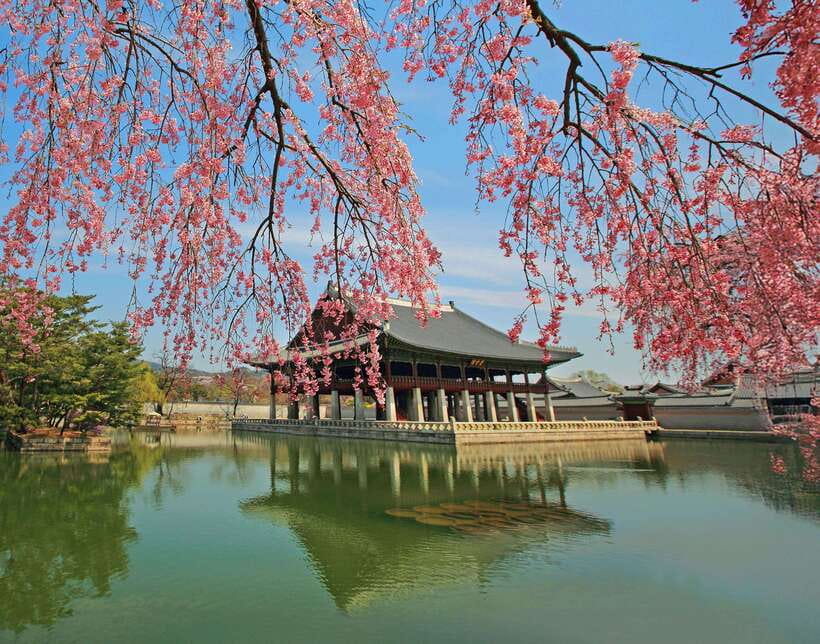 Seoul Highlights: Gyeongbok Palace, Insadong & N Seoul Tower - A useful first day in Seoul