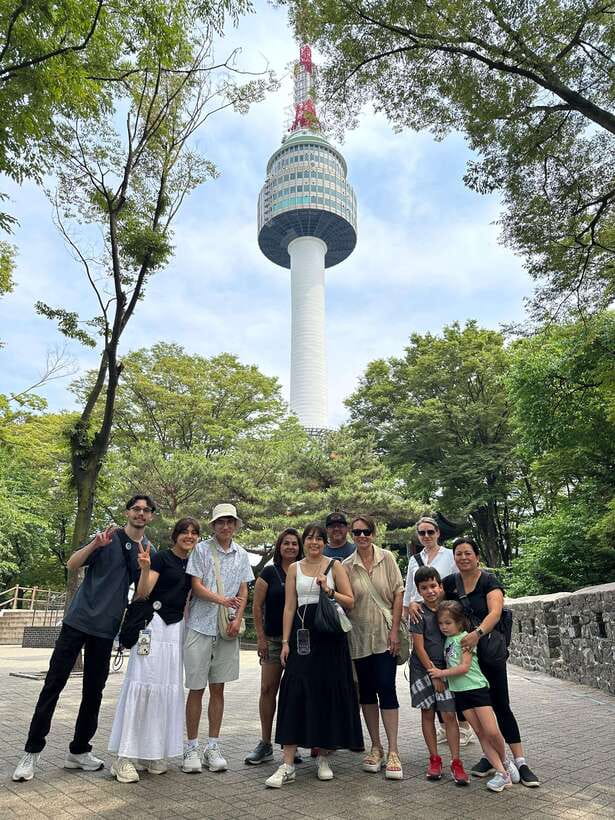 Seoul Highlights: Gyeongbok Palace, Insadong & N Seoul Tower - The National Folk Museum adds everyday life