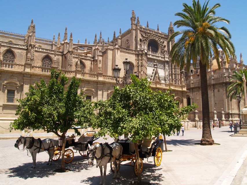 Seville: Alcázar Guided Palace Tour with Priority Access - Shared or private tour?
