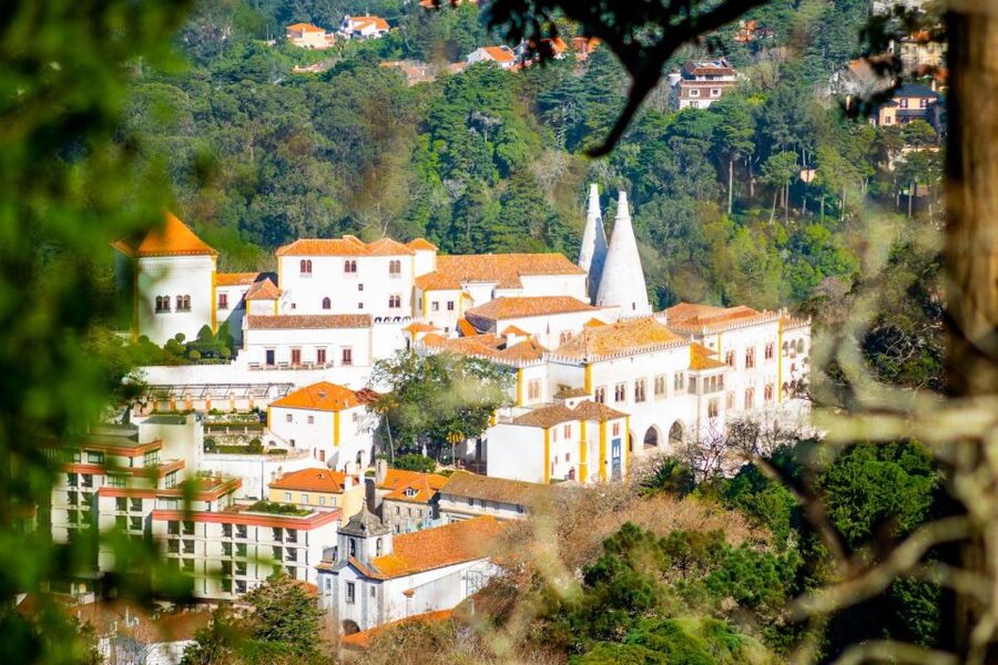 Sintra: Full-Day Private Tour & Pena Palace Entry Option - What the guides add to the day