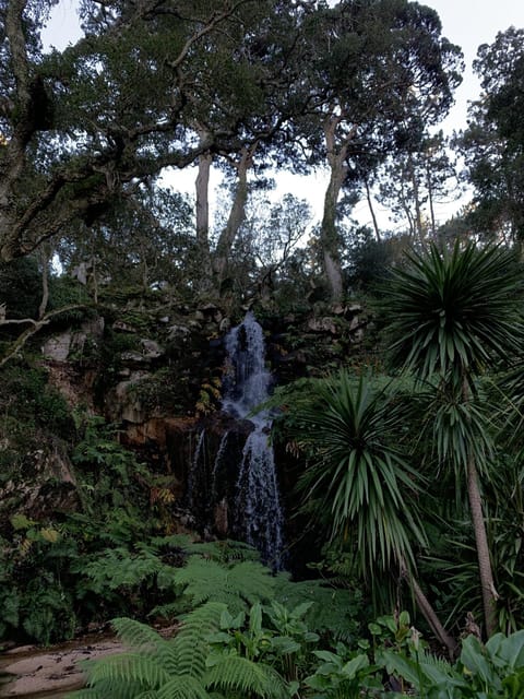 Sintra Highlights: Private Local Tour - Palaces & Views - Who should choose this tour