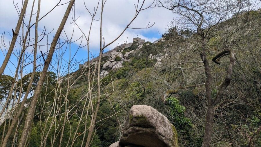 Sintra Hike: Past palaces and hidden paths. - Moorish Castle views from the trail