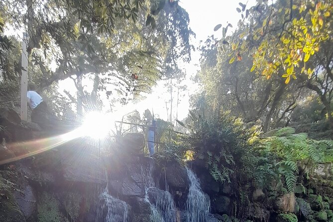 Sintra Private Tour 2 Palaces Roca Cascais Tailored up to 7 - Cascais gives you an hour to wander