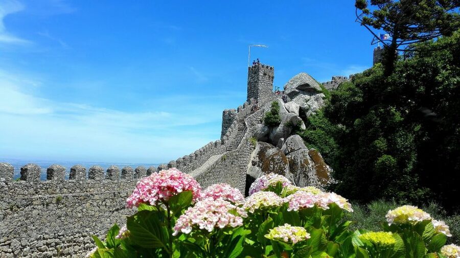 Sintra: Truly Private Tour to Pena Palace & Regaleira - Who will enjoy this tour most