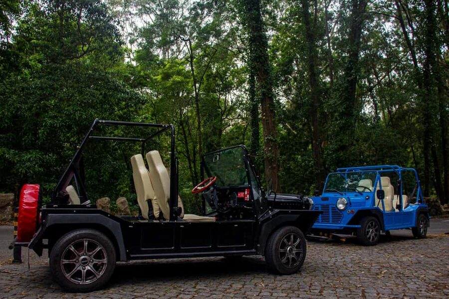 Sintra: Vintage electric Tuk Tuk tour, Pena Palace 4/5 hours - Sintra National Palace and the old town