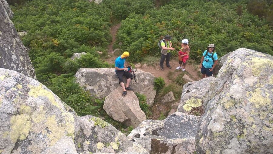 Sintra: Walking Tour with Palace, Castle, and Old Town Visit - The physical demands are the main issue