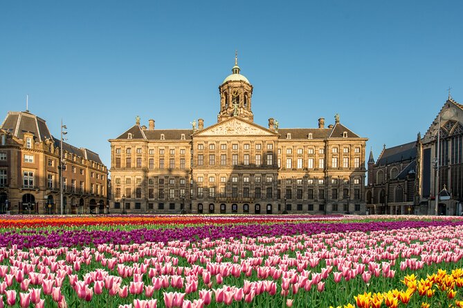 Skip-the-line Royal Palace of Amsterdam Private Guided Tour - Key points to know before booking