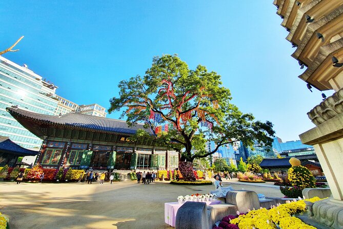 Small-Group Royal Palace and Seoul City Tour (hotel pick-up) - The ginseng center is educational, but not essential