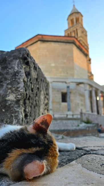 Split and Diocletian's Palace walking tour with a local guid - Starting at the Riva and the palace cellars