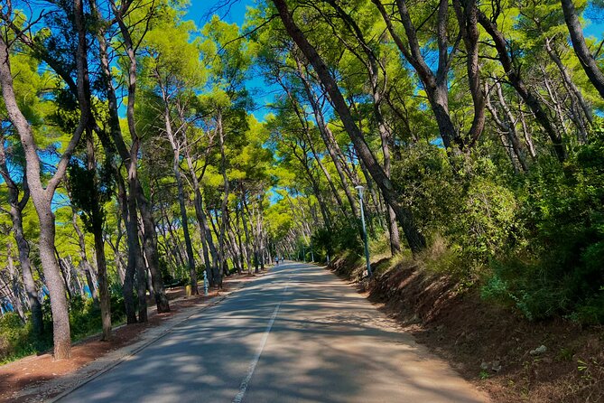 Split by Private Electric Rickshaw - Palace & Hidden Gems - Choosing among the three routes