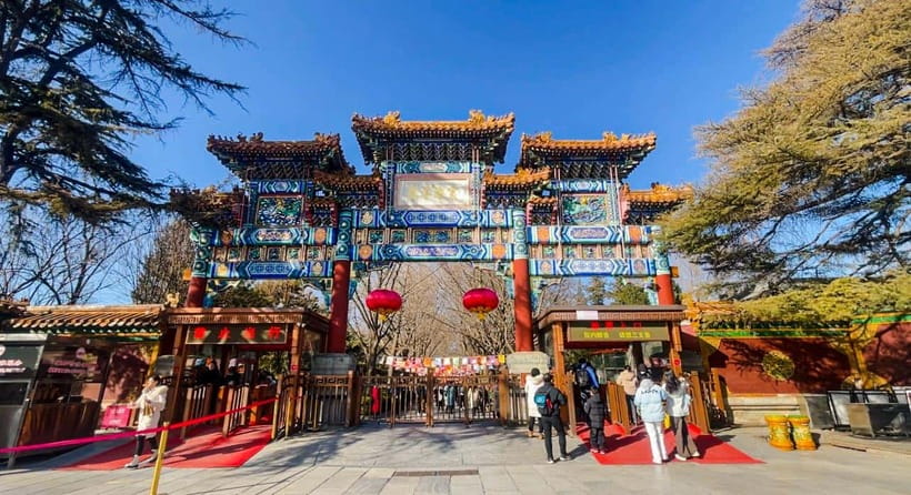 Summer Palace, Hutongs and Temple of Heaven Tour - A simple Beijing lunch