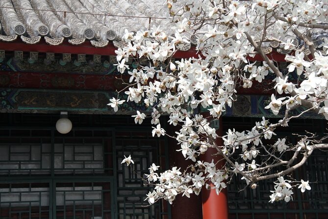 Summer Palace Ticket with optional Guided Tour - The Hall of Benevolence and Longevity: where official business happened